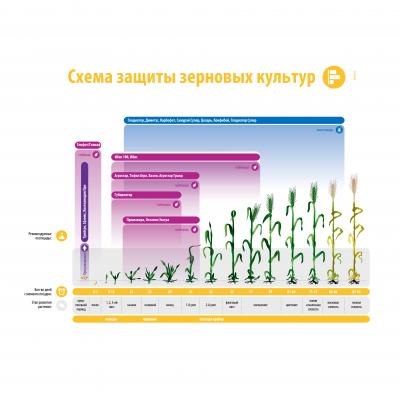Схема защиты зерна